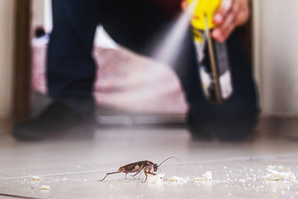 Reliable Lake Park, GA Pest Control Solutions